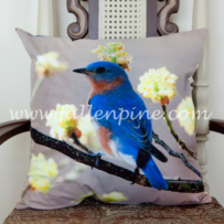 Bluebird Pillow Front