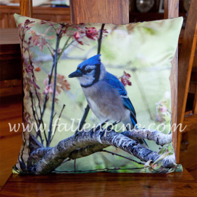 Bluejay On Oak Pillow