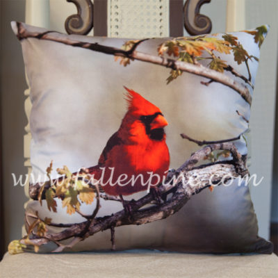 Cardinal Spring Oak Pillow