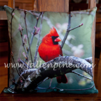 Cardinal Pillow Front