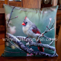 Female Cardinal Pillow Front