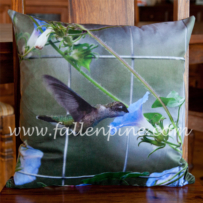 Hummingbird Pillow Front