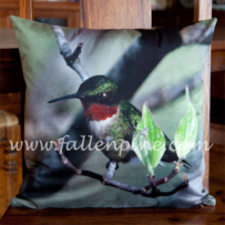 Hummingbird Pillow Front