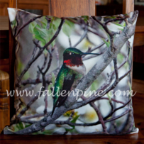 Hummingbird Pillow Front