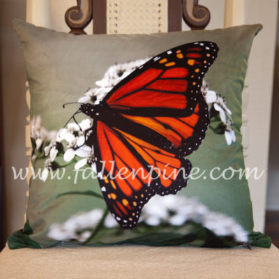 Monarch on Crownbeard Pillow