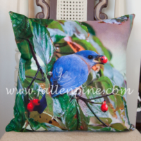 Bluebird Pillow Front