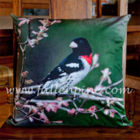 Rose-Breasted Grosbeak Pillow Front