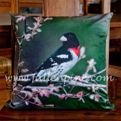 Rose-Breasted Grosbeak Pillow