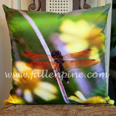 Amberwing Dragonfly Pillow