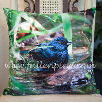 Indigo Bunting Pillow Front