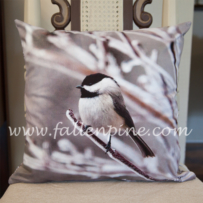 Carolina Chickadee Front