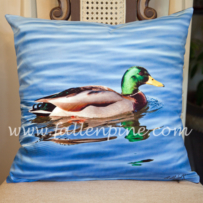 Mallard Duck Pillow Front