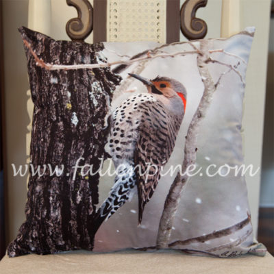 Northern Flicker Pillow