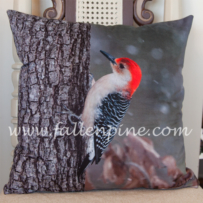 Red-Bellied Woodpecker Pillow Front