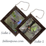 Ruby Throated Hummingbrid #2