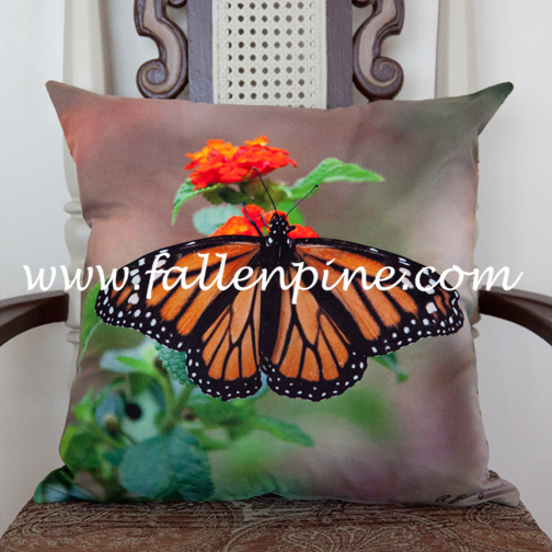 Butterfly and Bug Pillows