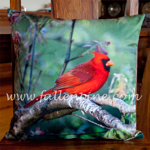 Cardinal Pillows