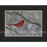 Cardinal Winter 3 SP-46