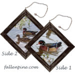 Wood Ducks - Male & Female