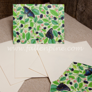 Blackberry Butterfly Notecards