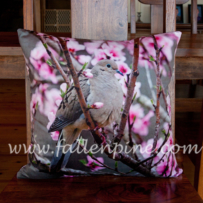 Mourning Dove Pillow