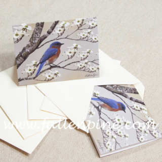 BBD-3 bluebird notecard