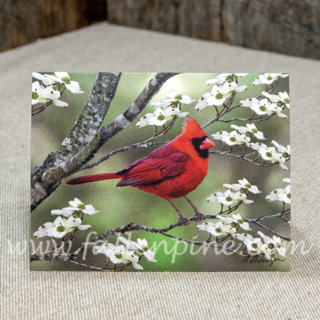 Cardinal Notecard