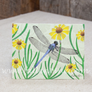 Dragonfly Notecard