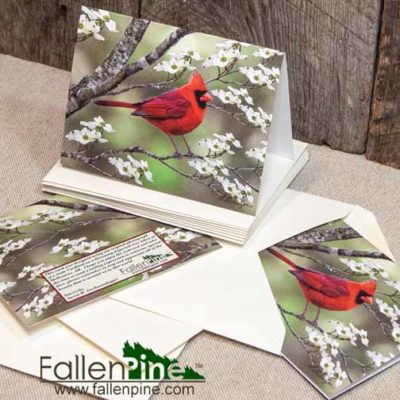 Cardinal Dogwood Notecard