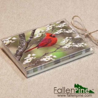 Cardinal Dogwood Notecard