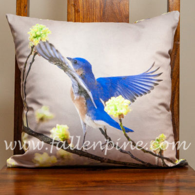 Bluebird on Sassafras 3 Pillow
