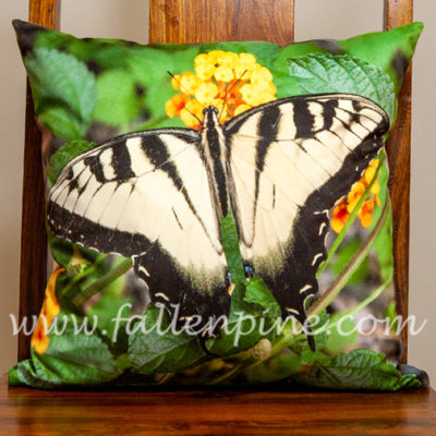 Male Tiger Swallowtail Pillow