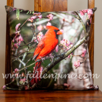 Cardinal Spring Pillow