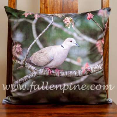 Collared Dove Spring Pillow