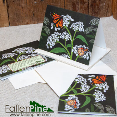 monarch butterflies crownbeard flowers