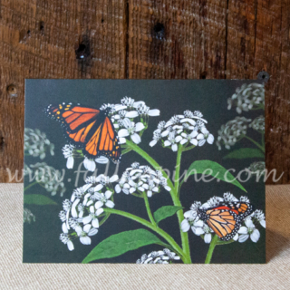 monarch butterflies white crownbeard flowers