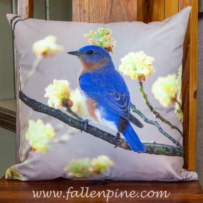 bluebird sassafras