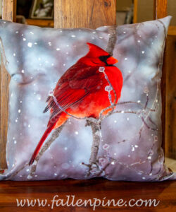 cardinal dogwood winter