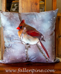female cardinal dogwood winter
