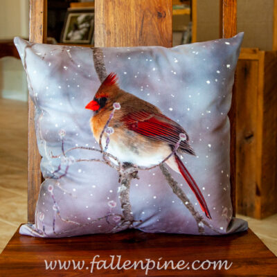 female cardinal dogwood winter