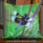 widow skimmer dragonfly pillow