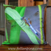 blue dasher dragonfly pillow