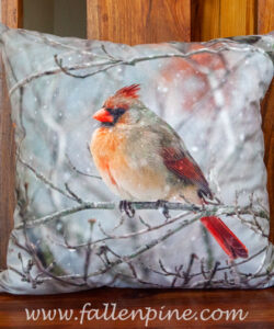 Female Cardinal winter