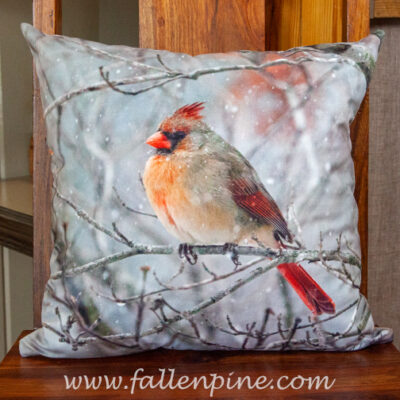 Female Cardinal winter