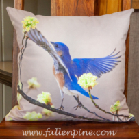 bluebird sassafras