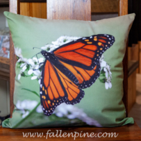 monarch butterfly crownbeard