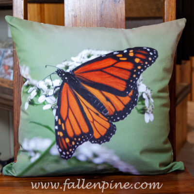 monarch butterfly crownbeard