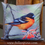 Baltimore oriole oak pillow