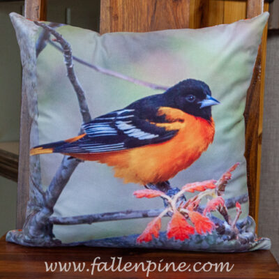 Baltimore oriole oak pillow