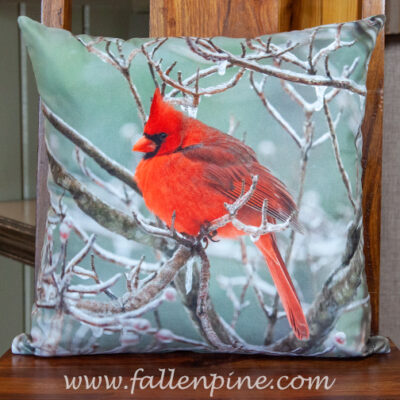 cardinal winter pillow